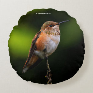Rufous Hummingbird on the Hybrid Fruit Tree Round Cushion