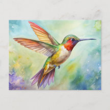 Rufous Hummingbird painting