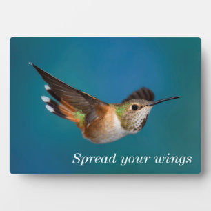 Rufous Hummingbird Plaque