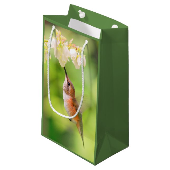 Rufous Hummingbird Sips Blueberry Flower Nectar Small Gift Bag (Front Angled)