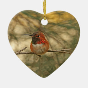 Rufous Hummingbird Sitting Ceramic Tree Decoration