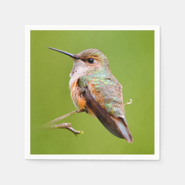 Rufous Hummingbird Sitting in the California Lilac Napkin (Front)