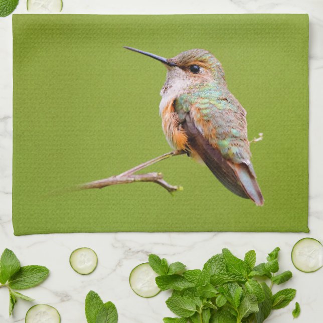 Rufous Hummingbird Sitting in the California Lilac Tea Towel (Folded)