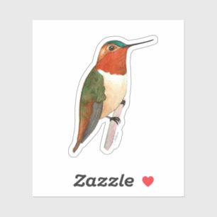 Rufous Hummingbird Sticker