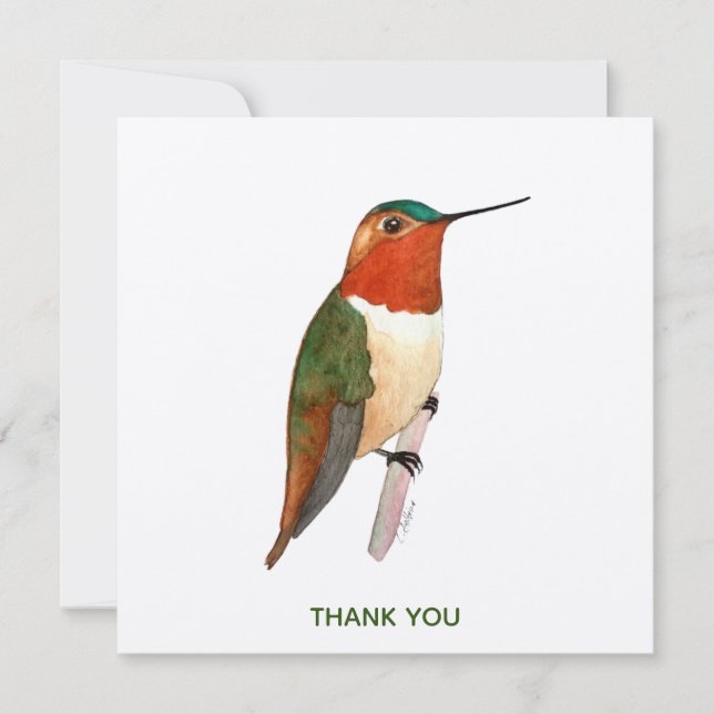 Rufous Hummingbird Thank You Card (Front)