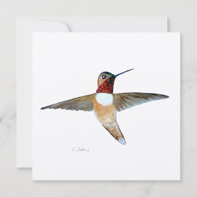 Rufous Hummingbird Thank You Card (Front)