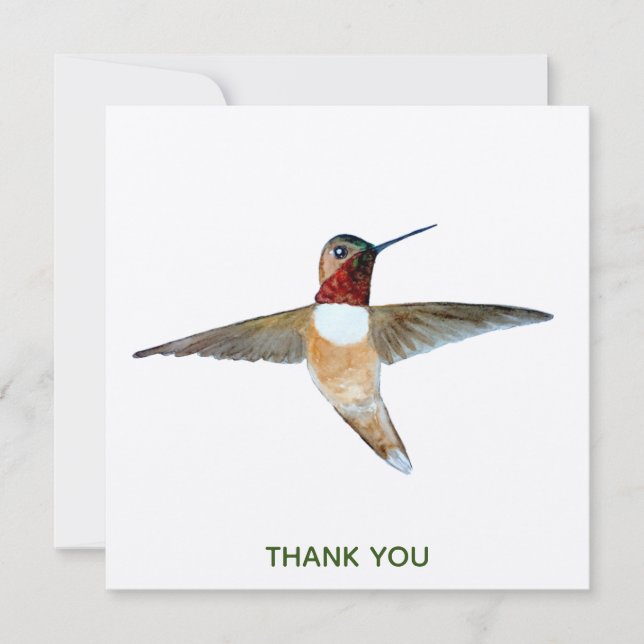 Rufous Hummingbird Thank You Card (Front)