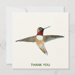 Rufous Hummingbird Thank You Card