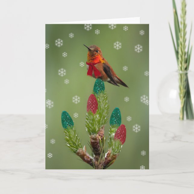 Rufous ready for Christmas Holiday Card (Front)