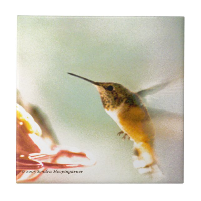 Rufus Hummingbird Ceramic Tile (Front)