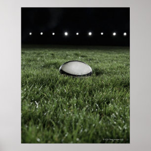Rugby ball sitting on the grass pitch of a poster