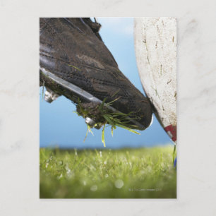Rugby player kicking ball off tee, close up of postcard