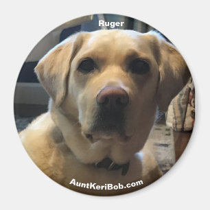Ruger Magnet