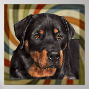 ruger poster