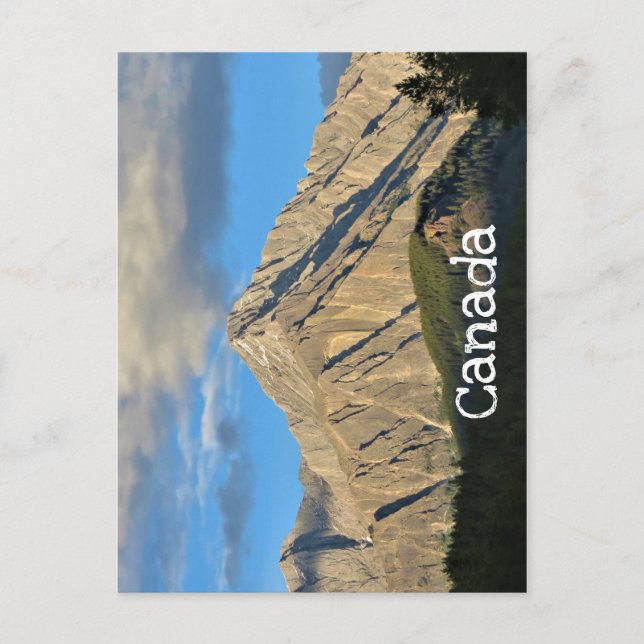 Rugged Mountain & Forest Lit by Setting Sun Postcard (Front)