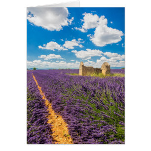 Ruin in Lavender Field, France