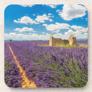 Ruin in Lavender Field, France Coaster