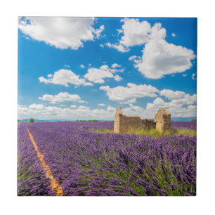 Ruin in Lavender Field, France Tile