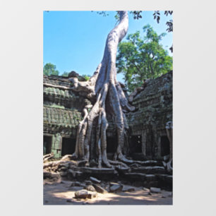 Ruin of Ta Prohm - Angkor Wat, Cambodia, Asia