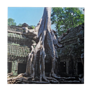 Ruin of Ta Prohm - Angkor Wat, Cambodia, Asia Ceramic Tile
