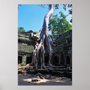 Ruin of Ta Prohm - Angkor Wat, Cambodia, Asia Poster