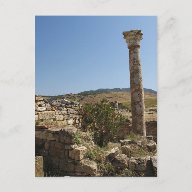 Ruins of ancient HIERAPOLIS. Postcard (Front)