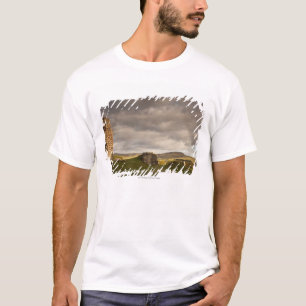 Ruins Of Cessford Castle With Sheep Grazing T-Shirt