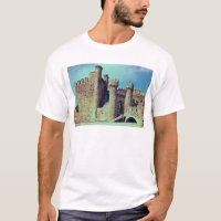Ruins of the Castle of the Knights Templar