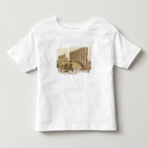 Ruins of the Grand Aqueduct of Ancient Carthage, p Toddler T-Shirt