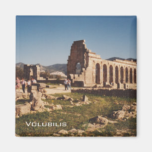Ruins of Volubilis Magnet