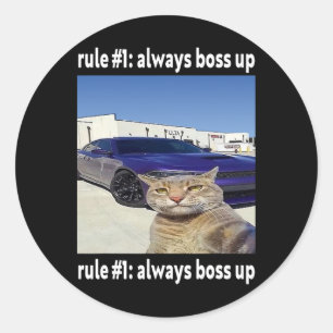 Rule # 1 Always Boss Up Funny Cat Meme  Classic Round Sticker
