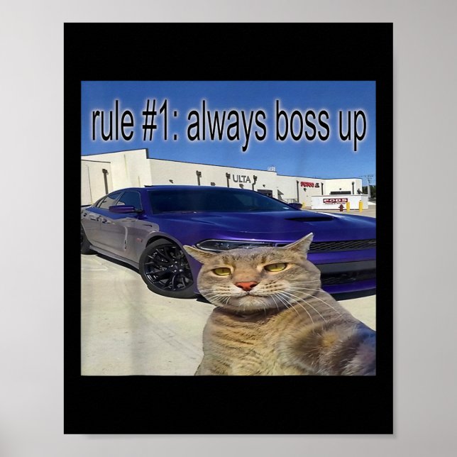 Rule 1 Always Boss Up Funny Cat Oddly Specific Dan Poster (Front)