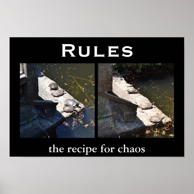 Rules - Demotivational Motivational Poster (Front)