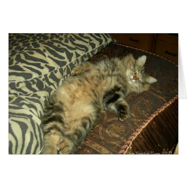 Rum Tum tummy (Front Horizontal)