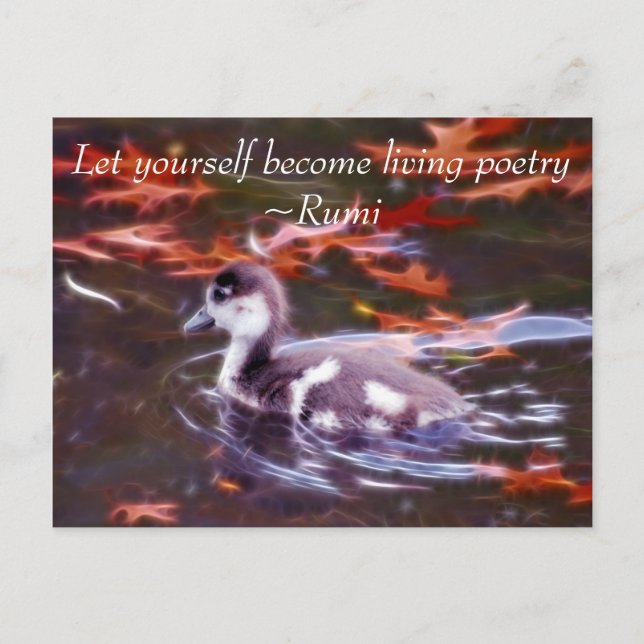 Rumi become living poetry postcard (Front)