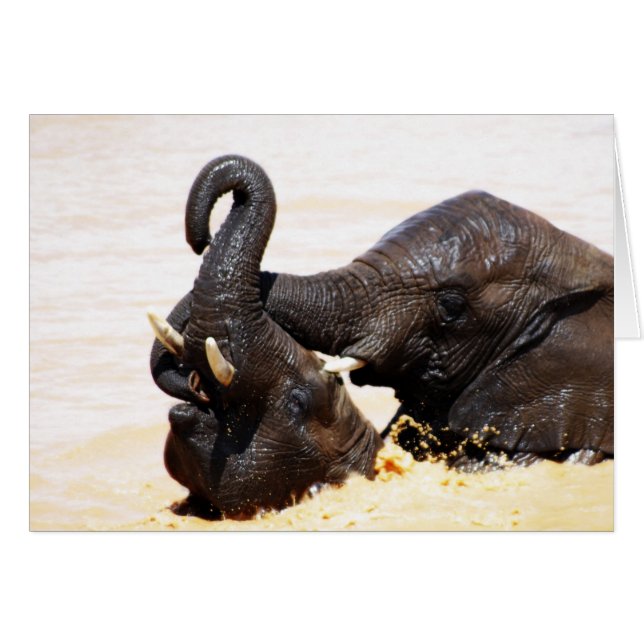 Rumi Soul joy (Front Horizontal)