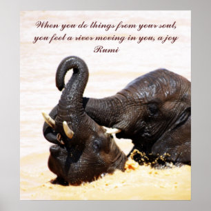 Rumi  Soul joy Poster