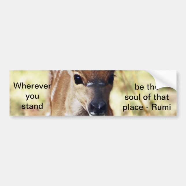 Rumi Wherever you stand Bumper Sticker (Front)