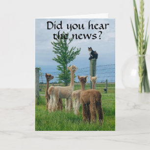 RUMOR IS THAT **70th BIRTHDAY** NOT SO BAD Card