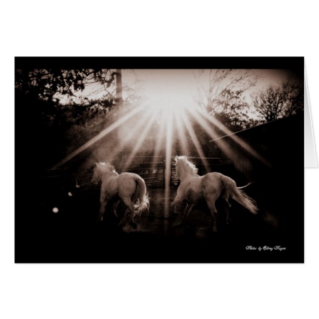 ~Run Andalusian Run~ (Front Horizontal)