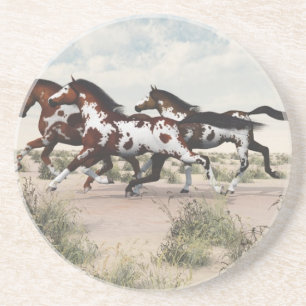 Run Like the Wind - Galloping Paint Horses Coaster