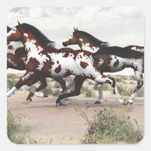 Run Like the Wind - Galloping Paint Horses Square Sticker