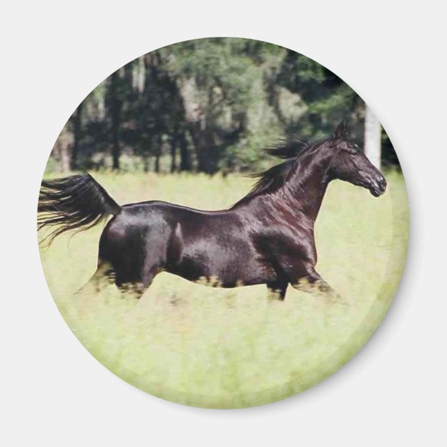 run like the wind magnet (Front)