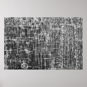 run off walls  poster