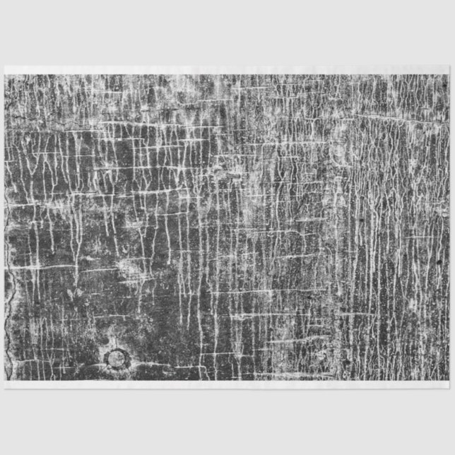 run off walls  tissue paper (Front)