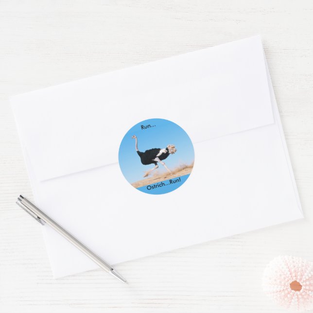 Run Ostrich Run Funny Photo Classic Round Sticker (Envelope)