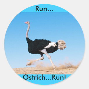 Run Ostrich Run Sticker