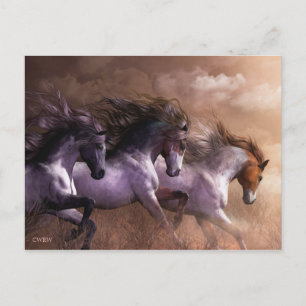 Run to Freedom Postcard