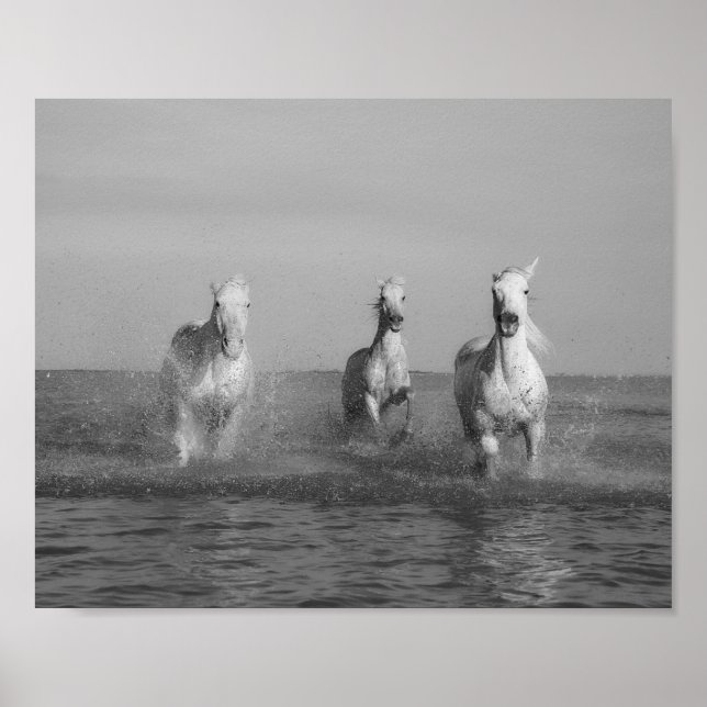 Run, white  horses, ocean, fine art photography poster (Front)