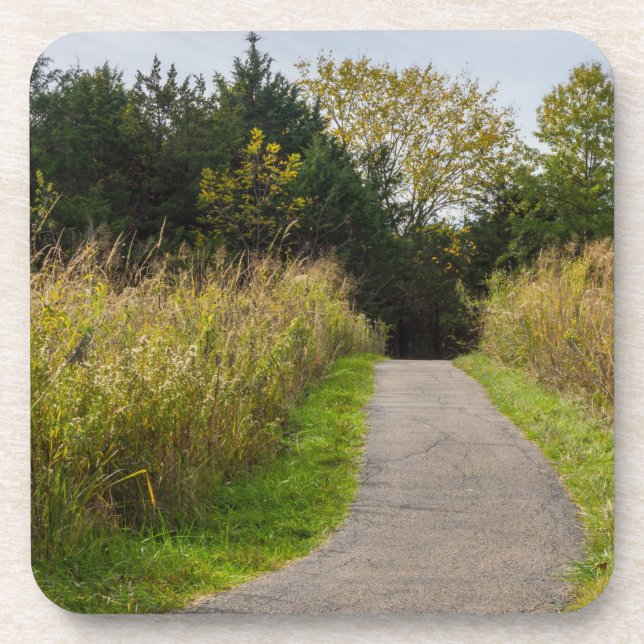 Runge Walkway Coaster (Front)
